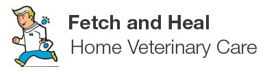 Fetch and Heal: Home Veterinary Care, LLC